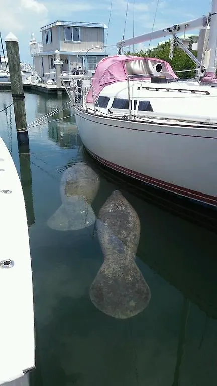 Key West Aqualodge 3*, Key West United States